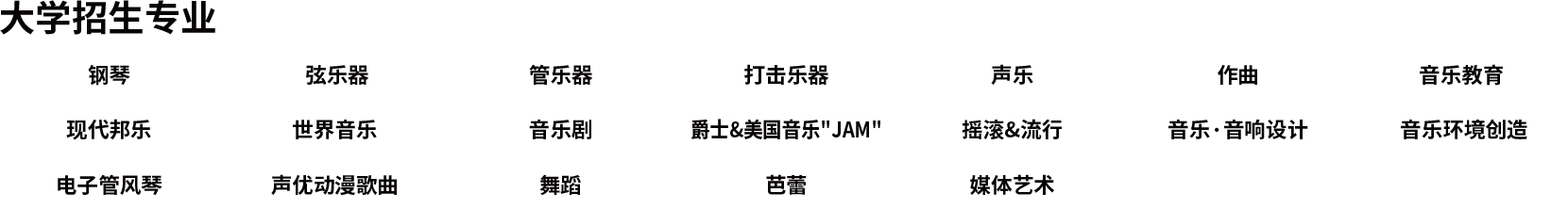 大学招生专业 钢琴 弦乐器 管乐器 打击乐器 声乐 作曲 音乐教育 现代邦乐 世界音乐 音乐剧 爵士&美国音乐'JAM' 摇滚&流行 音乐·音响设计 音乐环境创造 电子管风琴 声优动漫歌曲 舞蹈 芭蕾 媒体艺术