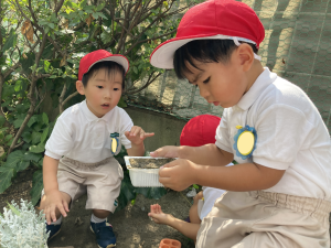 最新記事画像